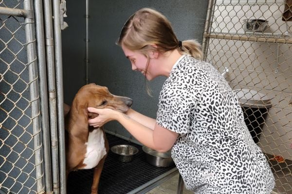 Memorial-Drive-Veterinary-Clinic-pet-boarding-and-grooming-1