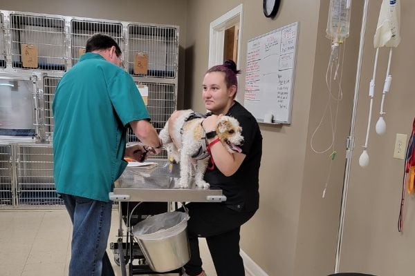 Memorial-Drive-Veterinary-Clinic-pet-wellness-1