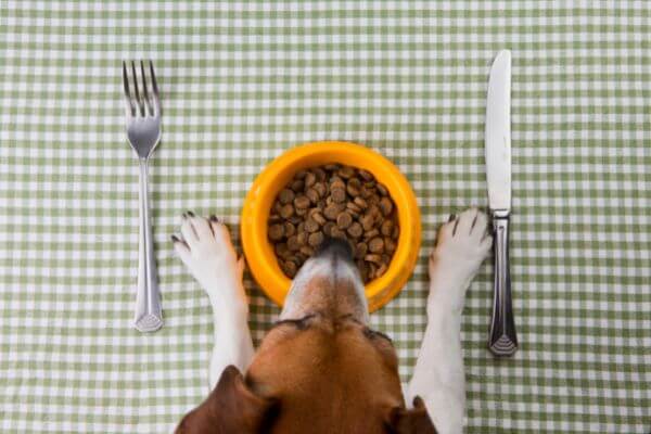 nutrition
