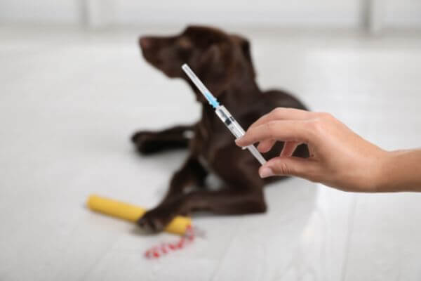 vaccinations
